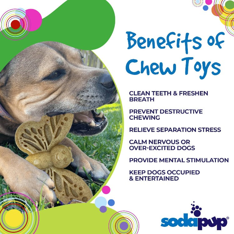 Butterfly Nylon Chew & Enrichment Toy | 2-in-1 for Aggressive Chewers | SodaPup - BIG FRENCHIES