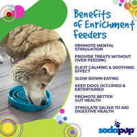 Baja Design eTray - Shallow Slow Feeder Dog Bowl for Enrichment | USA Made - BIG FRENCHIES