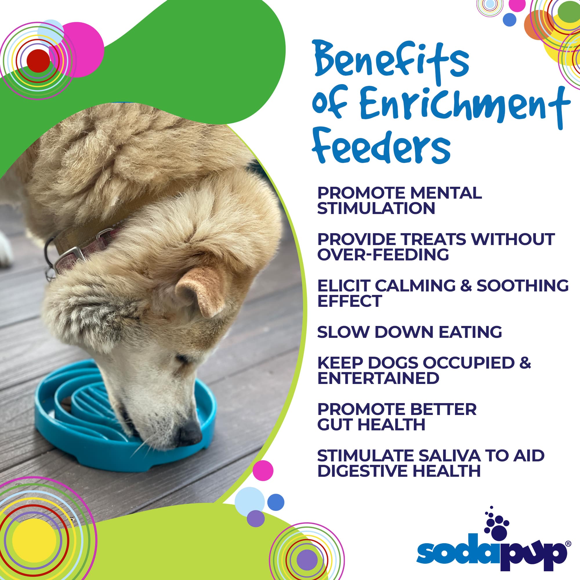 Baja Design eTray - Shallow Slow Feeder Dog Bowl for Enrichment | USA Made - BIG FRENCHIES