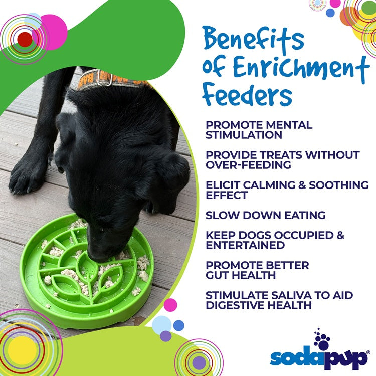 Garden Design eTray - Shallow Slow Feeder Dog Bowl for Enrichment | USA - BIG FRENCHIES