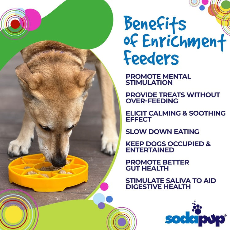 Sunflower eTray Shallow Slow Feeder Dog Bowl for Enrichment | USA Made - BIG FRENCHIES