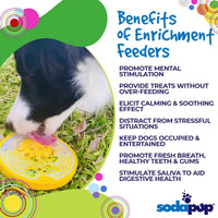 Earth eCoin Nylon Lick Mat for Dogs | USA Made Enrichment Toy | SodaPup - BIG FRENCHIES