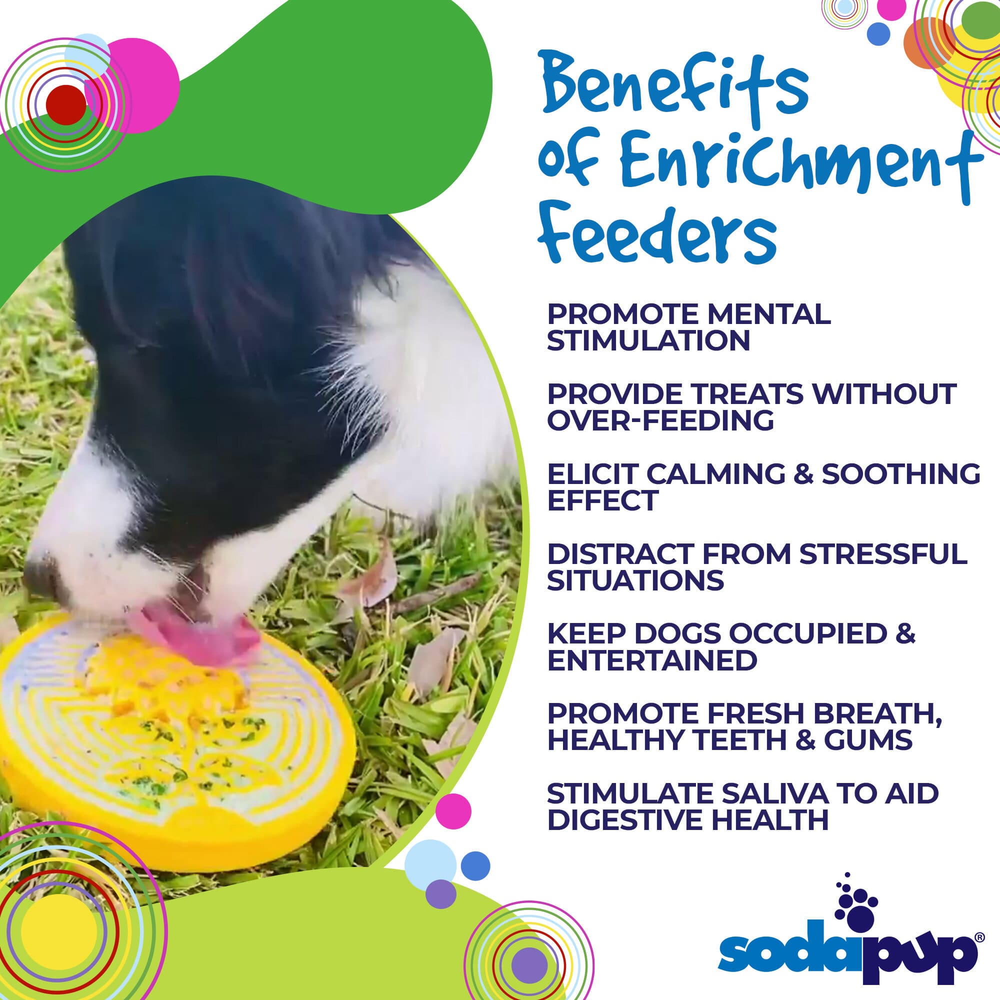 Earth eCoin Nylon Lick Mat for Dogs | USA Made Enrichment Toy | SodaPup - BIG FRENCHIES