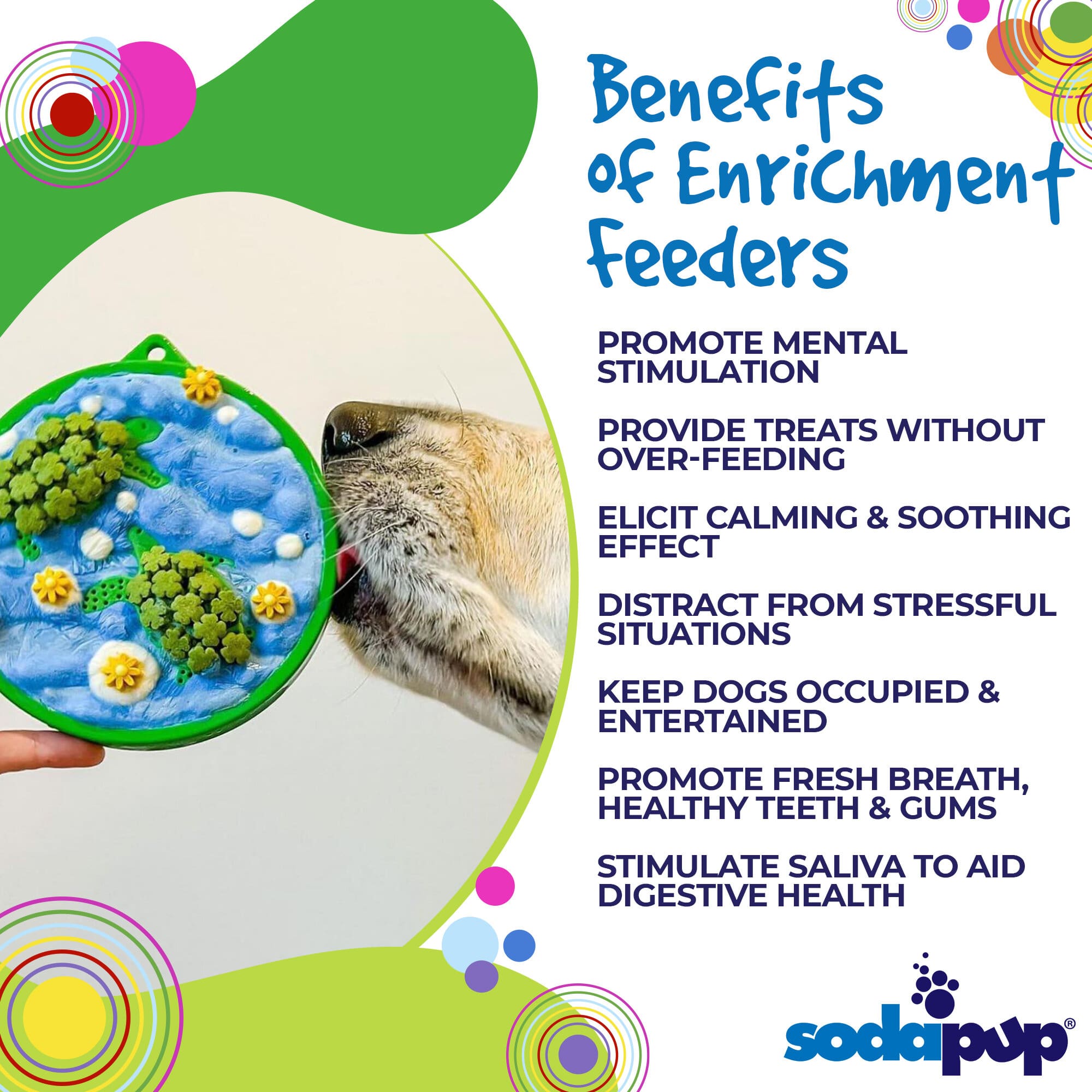 Water Nylon eCoin Durable Enrichment Snacking Coin for Dogs | USA-Made Lick Mat Alternative - BIG FRENCHIES