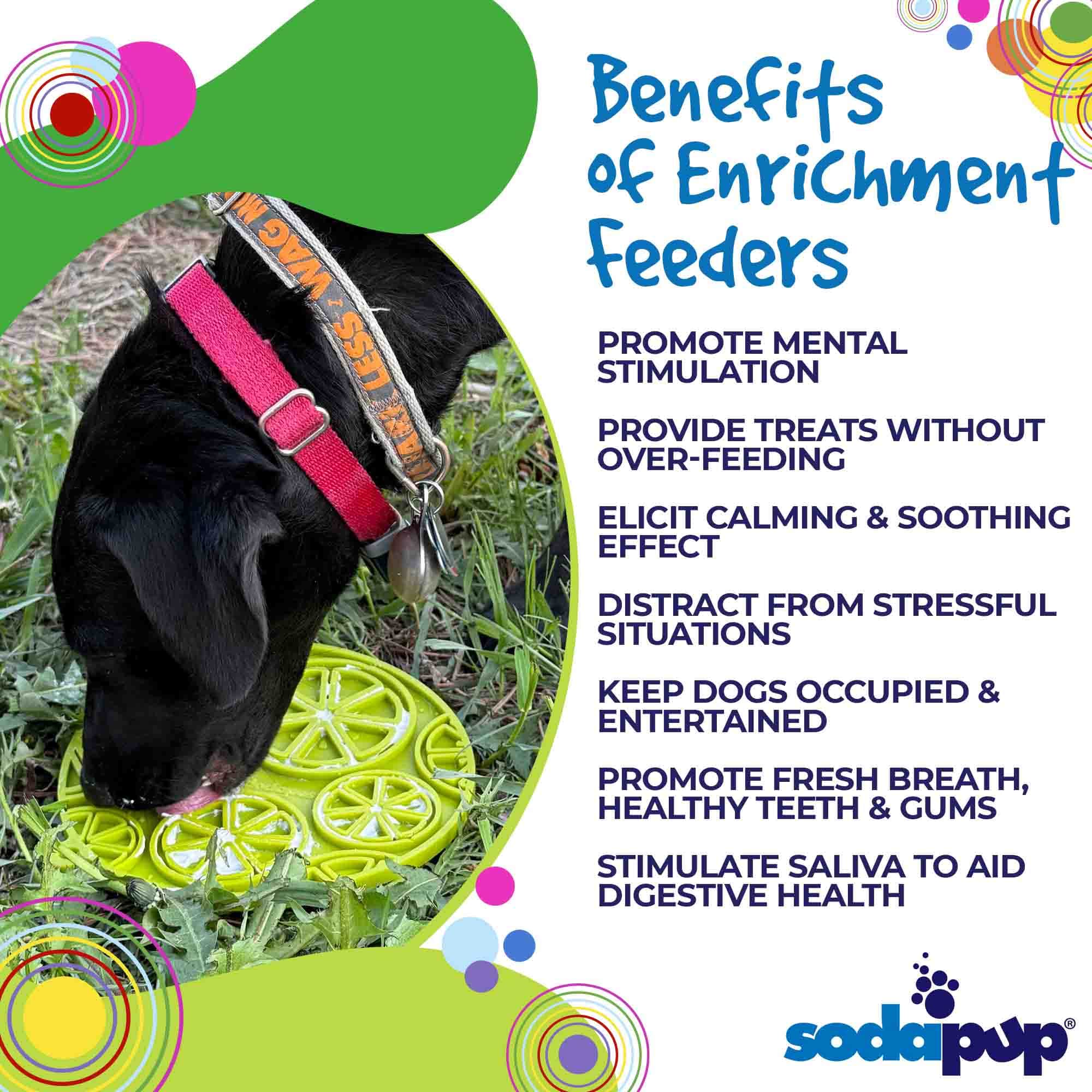 Citrus Design eMat - Enrichment Lick Mat For Dogs and Cats - with Suction Cups | USA Made - BIG FRENCHIES