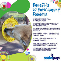 Sun n' Sea eMat - Enrichment Lick Mat For Dogs and Cats - With Suction Cups - Beach Design | USA Made - BIG FRENCHIES