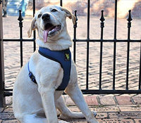 EcoBark Navy Dog Harness - Over-the-Head Soft Mesh Dog Vest Halter for Small to Medium Dogs and Puppies - BIG FRENCHIES