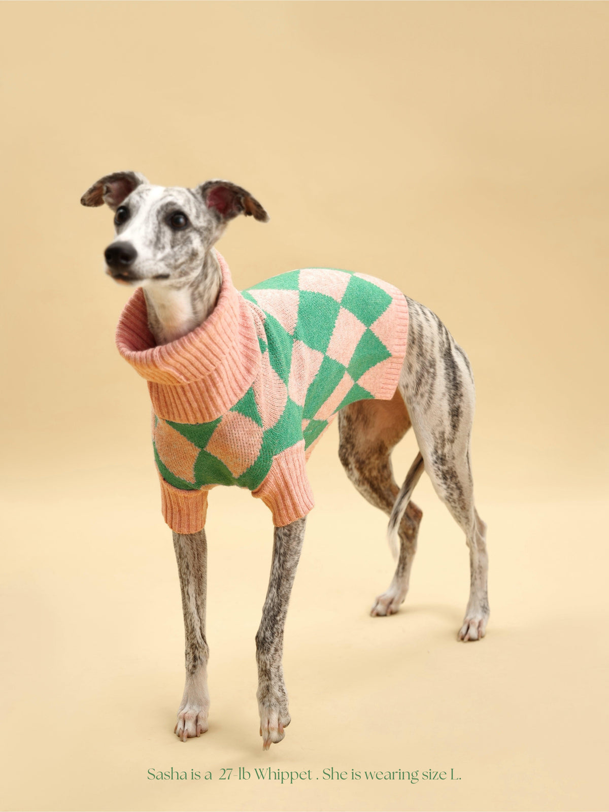 Sunday Brunch in Brooklyn Sweater-Pet Apparel-BIG FRENCHIES-BarkBarkBaby