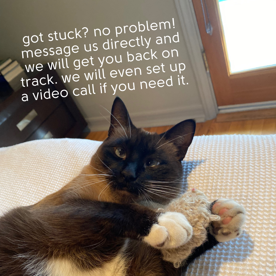 Catnip Ravioli Learn to Crochet Kit