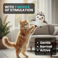 Interactive Cat Flapping Bird Toy