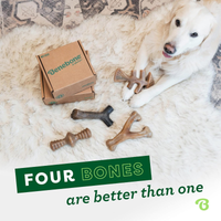 4-Pack Dog Chew Toys for Aggressive Chewers, Made in USA, 60lbs and Under - BIG FRENCHIES
