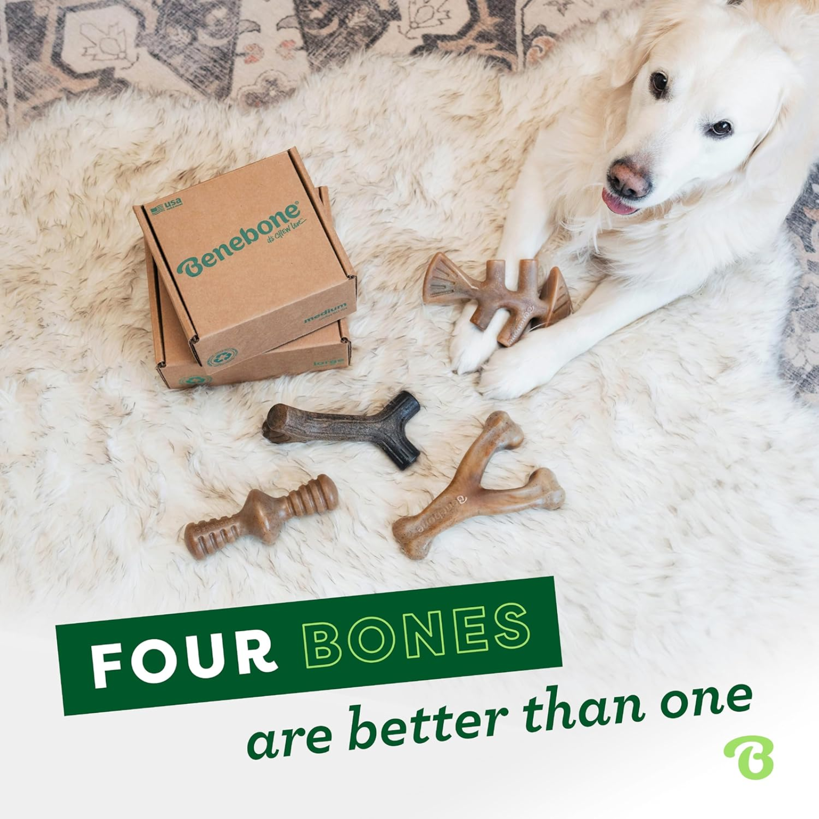 4-Pack Dog Chew Toys for Aggressive Chewers, Made in USA, 60lbs and Under - BIG FRENCHIES