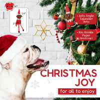 Pooch on a Perch – Christmas Elf Dog Toy with Squeaker & Crinkle Paper