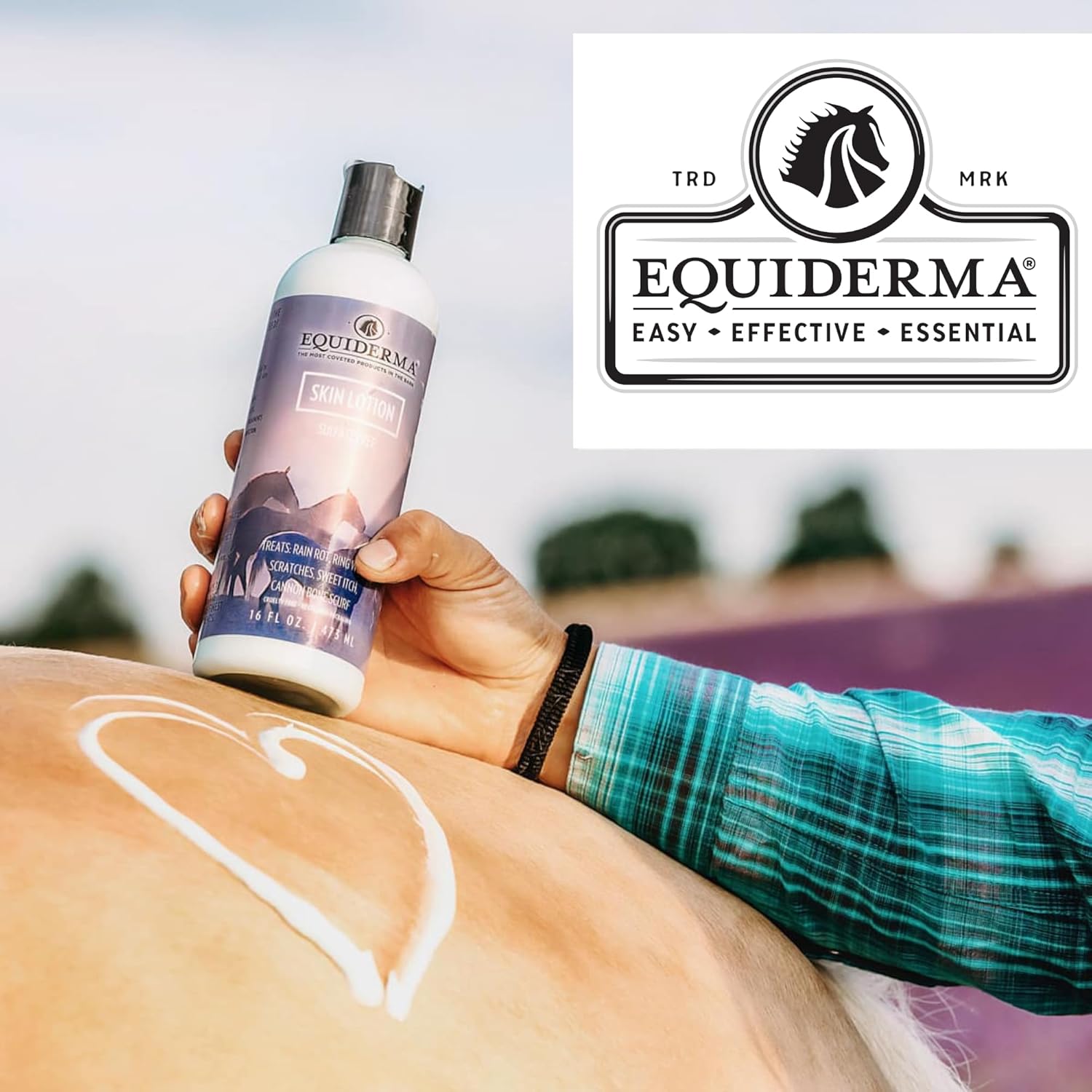 Horse Equiderma Equine Skin Care Lotion Rain Rot & 16 Oz.