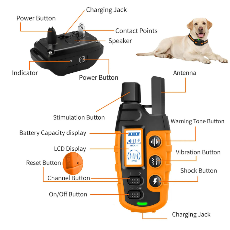Dog Training Collar with Remote and Vibration Modes - BIG FRENCHIES