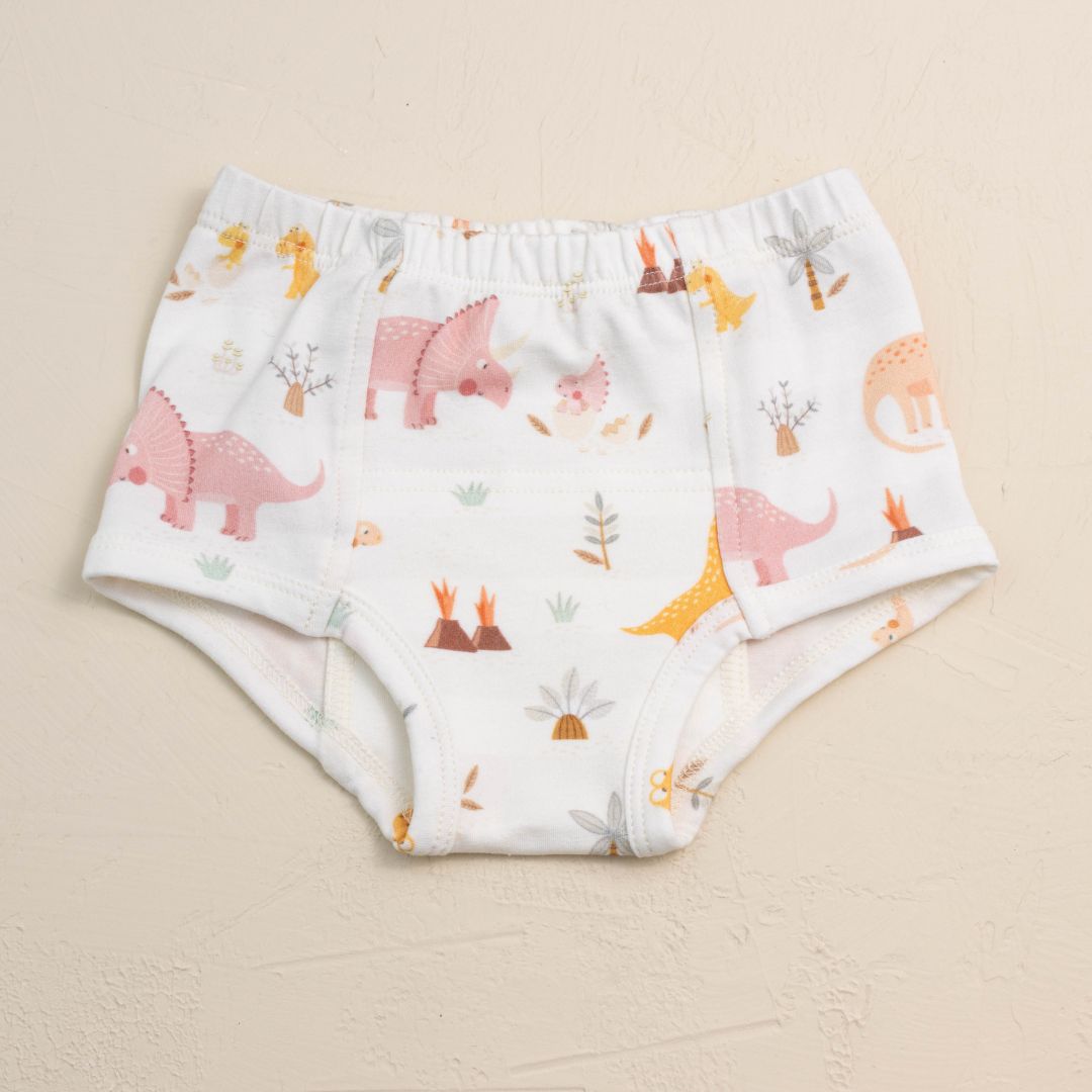 Eco Organic Potty Training Bundle (pack of 4) - BIG FRENCHIES