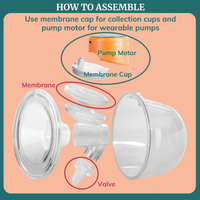 Duckbill Valves & Membranes for Wearable Breast Pumps