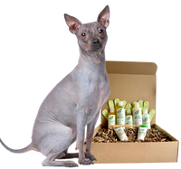 4-HAIRLESS PETS *DOG RESTORATIVE KIT
