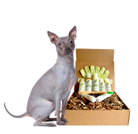 4-HAIRLESS PETS *DOG RESTORATIVE KIT