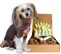 4-HAIRLESS PETS *DOG SENSITIVE KIT