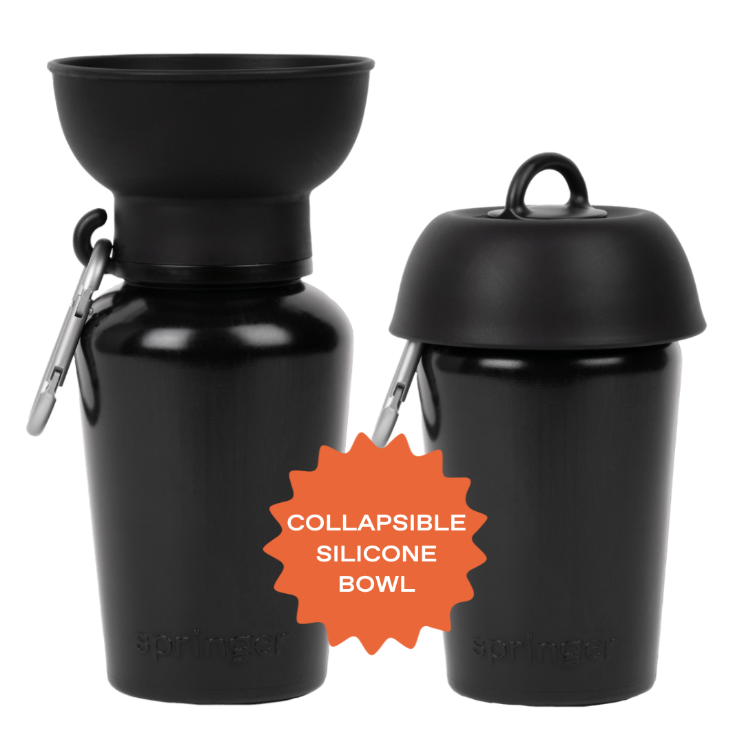 20oz Flip Dog Travel Water Bottle - BIG FRENCHIES