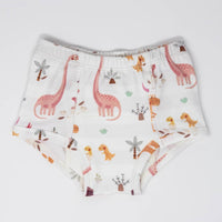 Rose Dinosaur Family Potty Training Pants - BIG FRENCHIES