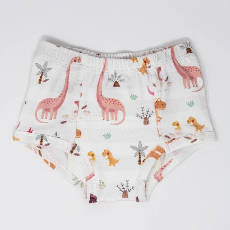 Rose Dinosaur Family Potty Training Pants - BIG FRENCHIES