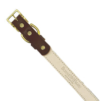 Plain Leather Dog Collar - BIG FRENCHIES