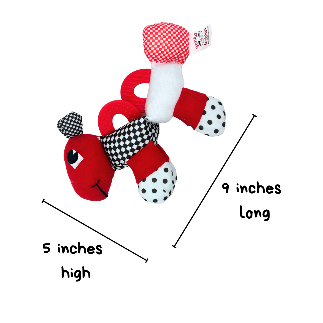 Caterpillar Teething and Sensory Toy in Black, White and Red, 9" - BIG FRENCHIES