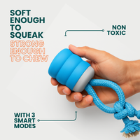 The Chase Buddy Dog Boredom Stimulating Toy