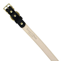 Plain Leather Dog Collar - BIG FRENCHIES