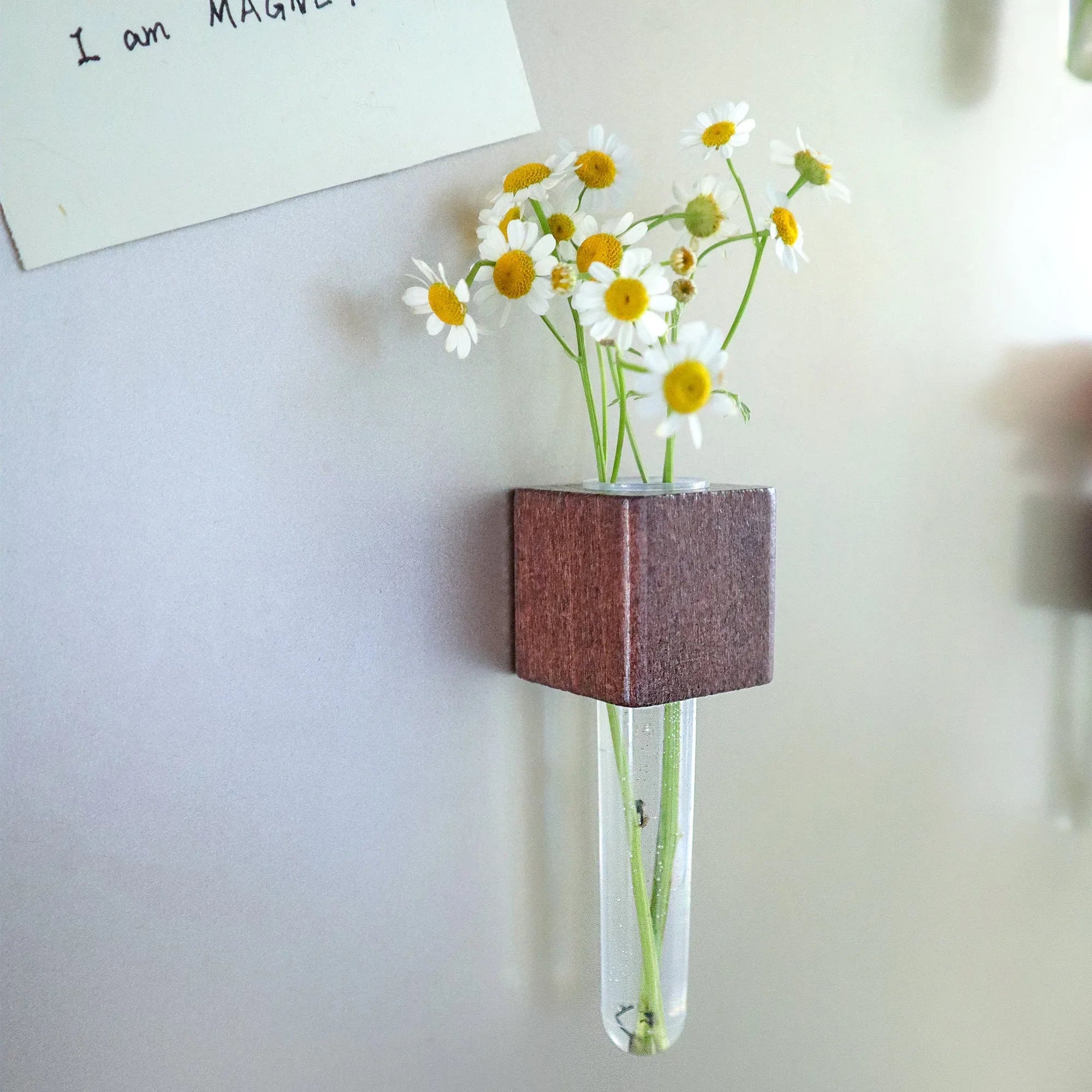 Mini Vase Magnets – Set of 2 – Beech & Walnut Wood – Decorative Fridge Magnets for Small Flowers or Greenery - BIG FRENCHIES