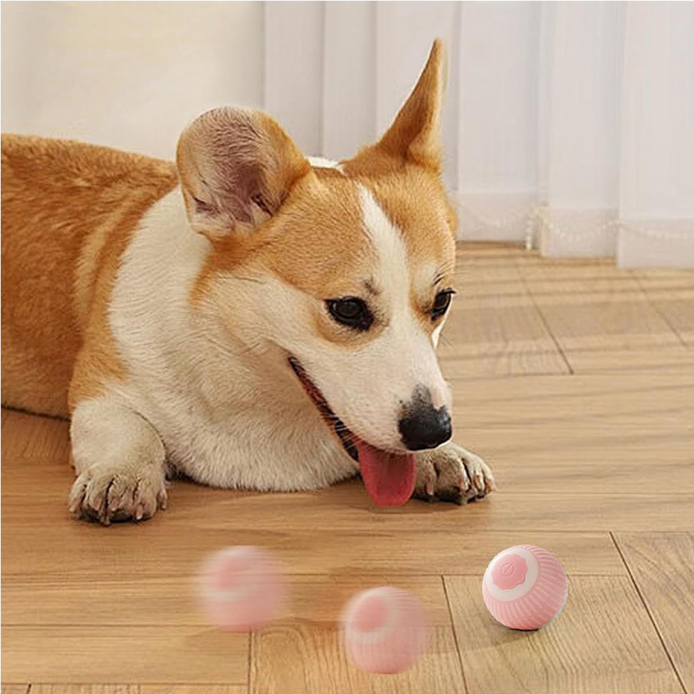 Electric Dog Cat Ball Toy,Indoor Large And Small Cat Dog Interactive Intelligent Rolling Pet Ball