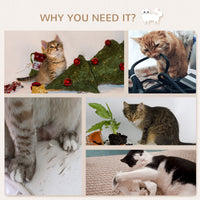 8PCs Cat Wall Shelves Pet Wall-mounted Climbing Shelf Set with Cushion Condo Scratching Posts Hammock Oak