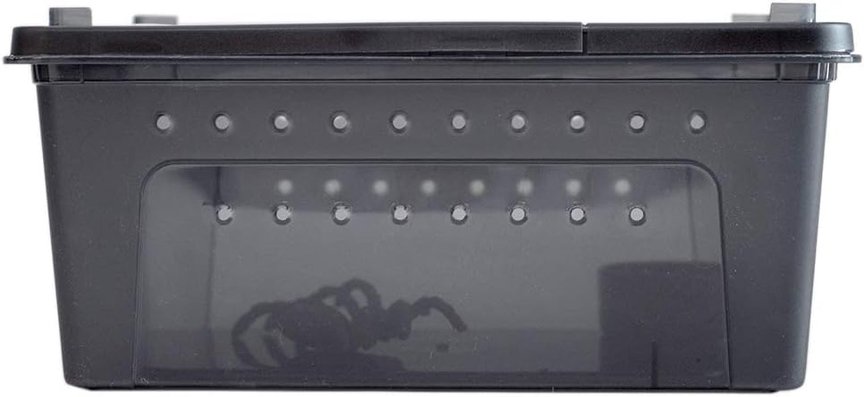 Portable Reptile Terrarium Habitat for Mini Pet Houses Breathable Holes Stackable Container (Black-M) - BIG FRENCHIES