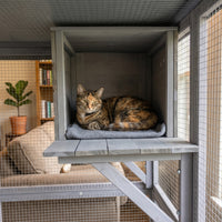 Outdoor Wooden Catio Multi-functional Cat Enclosure, 4 Platforms & 2 Napping Houses, 2 Strong Locks, Rounded Corner, Ste