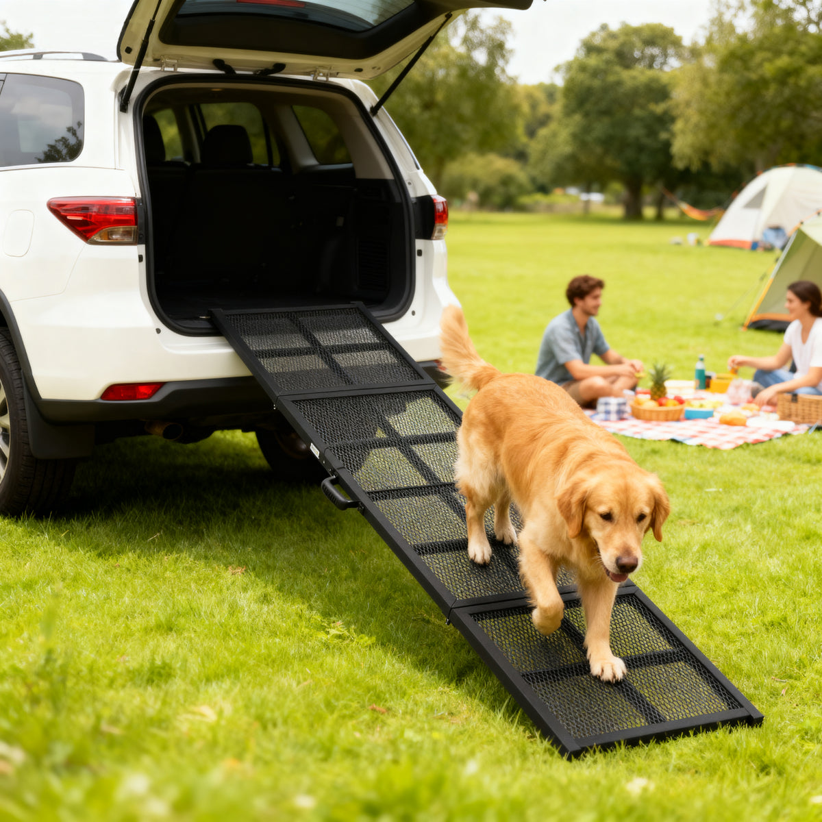 Dog Car Ramp, 75" x 20" Extra Long and Wide, Non-Slip Surface, Folding Portable Pet Ramp for Large, Small & Senior Dogs