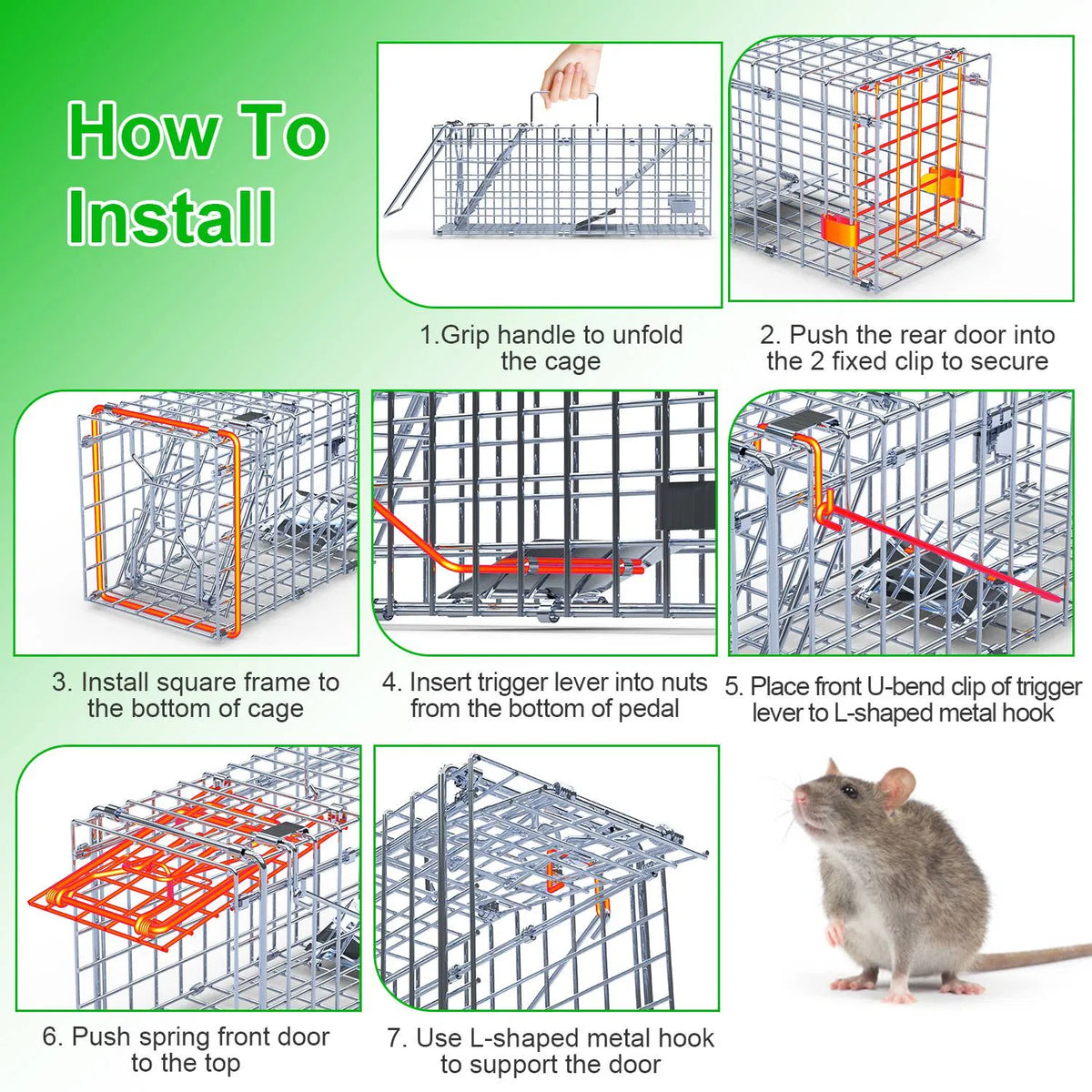 2-Pack Humane Mouse Traps – Instant-Lock One-Way Door, 2 mm Galvanized Metal, Safe for Kids & Pets, Indoor/Outdoor Reusa