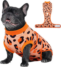 Dog Recovery Suit After Surgery – 4 Colors, XS–2XL
