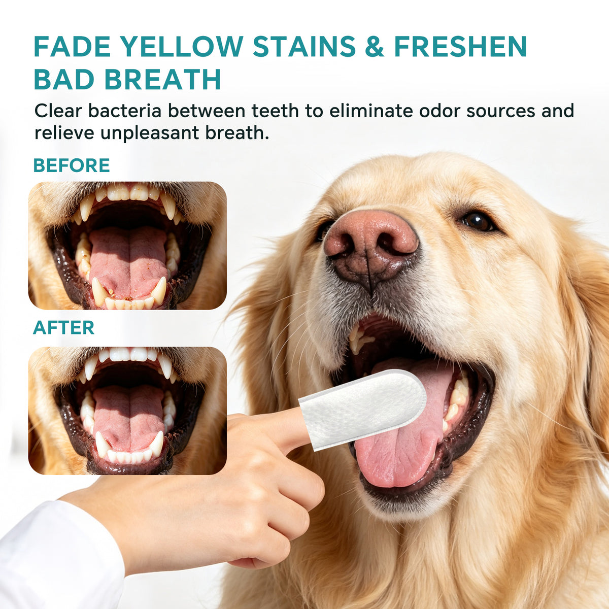 Only Self Pickup---Pet Tooth Cleaning Wet Wipes 50 Pieces