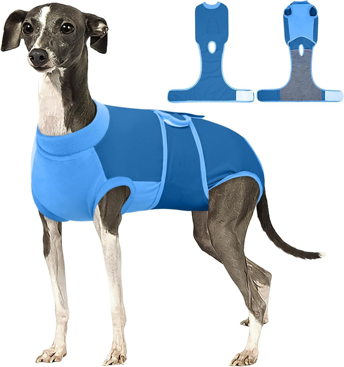 Female Dog Recovery Suit After Spay, XS–2XL