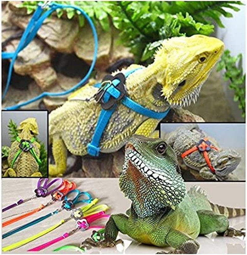 Adjustable Reptile Lizard Harness Leash - BIG FRENCHIES