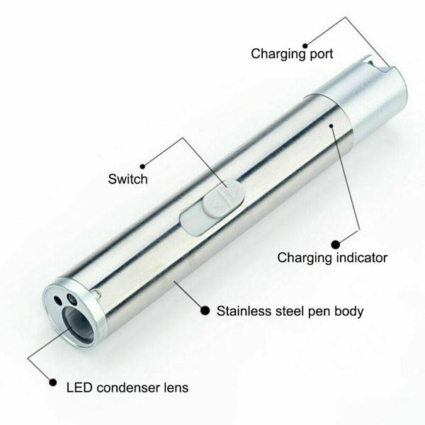 3 In1 1mw USB Rechargeable Pet Toy Pen Flashlight Red Laser Beam UV Light 3-Modes Lamp