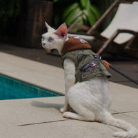 Outdoor Pet Half-Shirt For Hiking And Camping