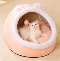 Four Seasons Universal Cat House Villa Home