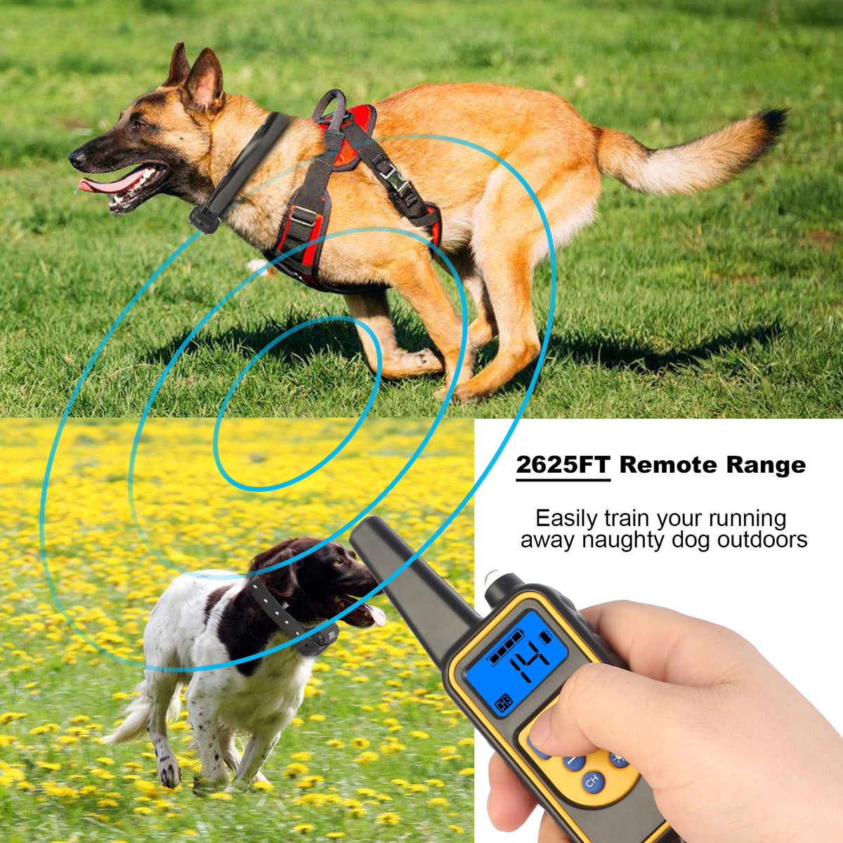 1Pc Dog Training Collar With Remote IP67 Waterproof Pet Trainer 300mAh Rechargeable 875 Yard Remote Control 4 Modes Adju