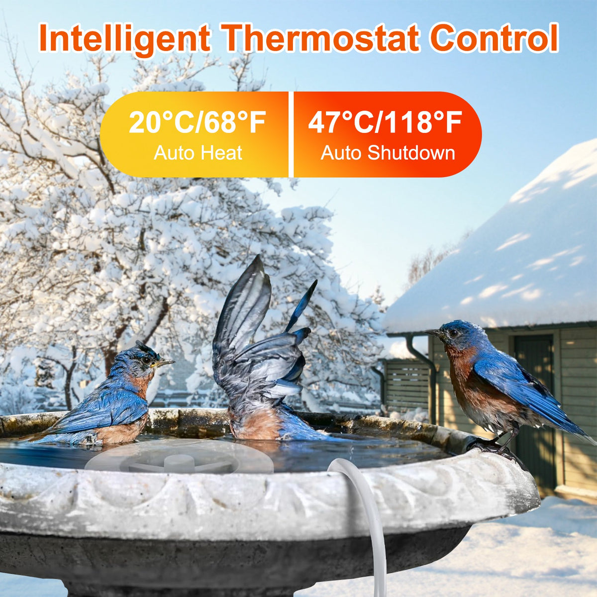 70W Bird Bath Heater For Outdoors Winter Heated Bird Bath Deicer Waterproof Aluminum Alloy Water Heater With Thermostat 