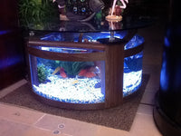 WARRANTY INCLUDED! 55 gallon GLASS round circle table aquarium fish tank setup- MAPLE