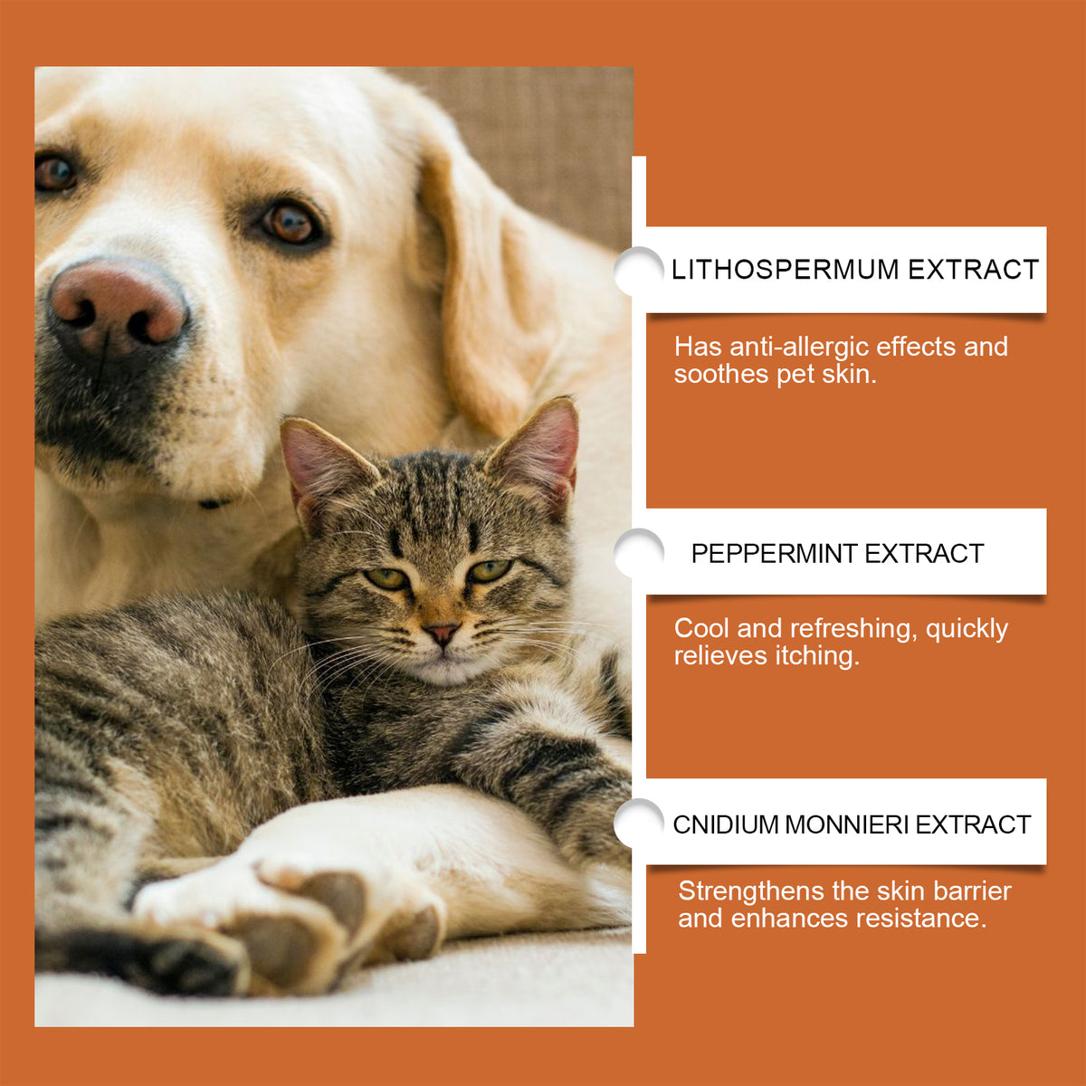 Pet Itch & Allergy Relief Cream, Soothing Skin For Dogs & Cats, Natural Herbal Extracts For Itch, Bites & Irritated Skin