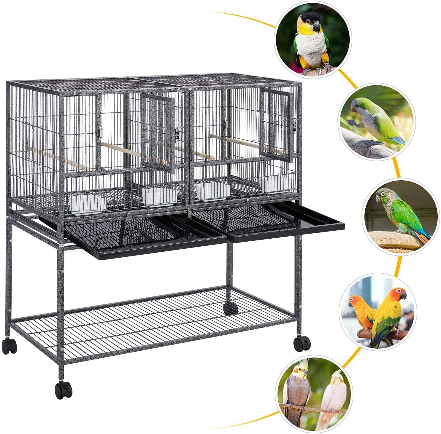 41.5" Stackable Divided Breeder for Bird - BIG FRENCHIES